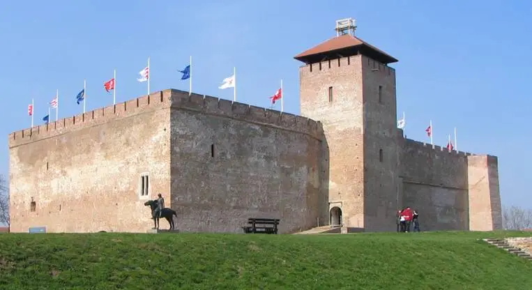 Château Queue d'hirondelle Drapeaux